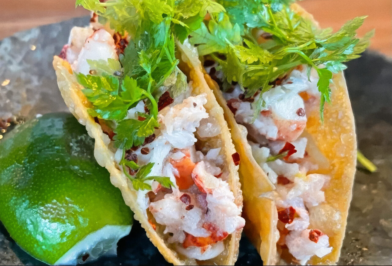 Hummertaco i friterad wonton med forellrom