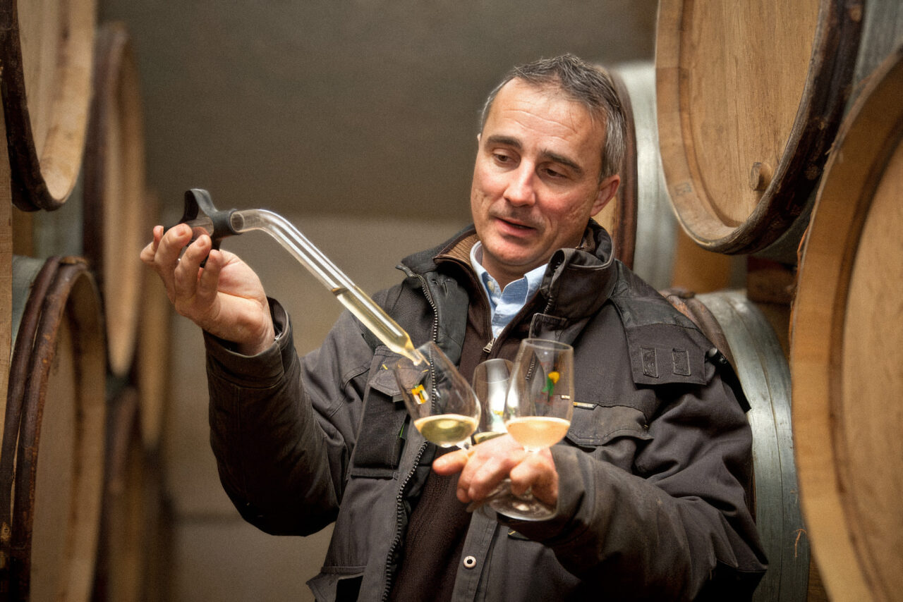 Domaine Bernard Defaix. Krita, hantverk och modern precision