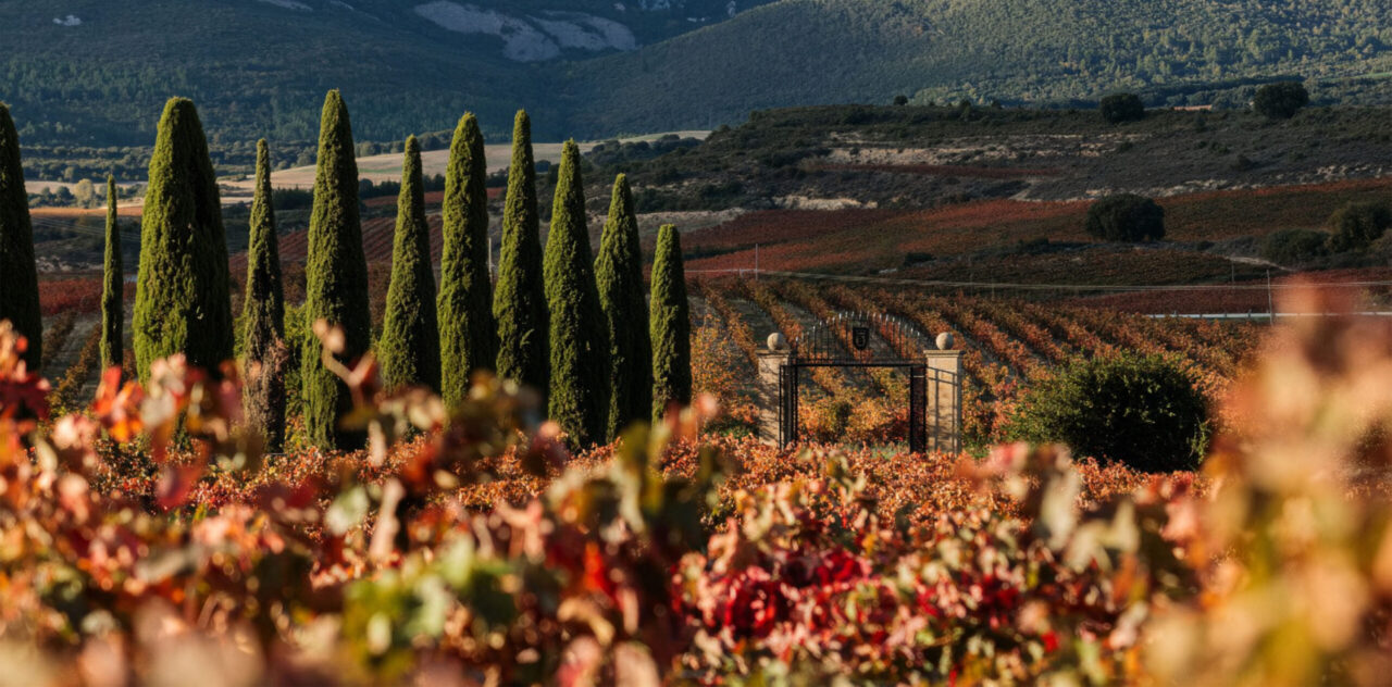 Torre de Oña Rioja Alavesa