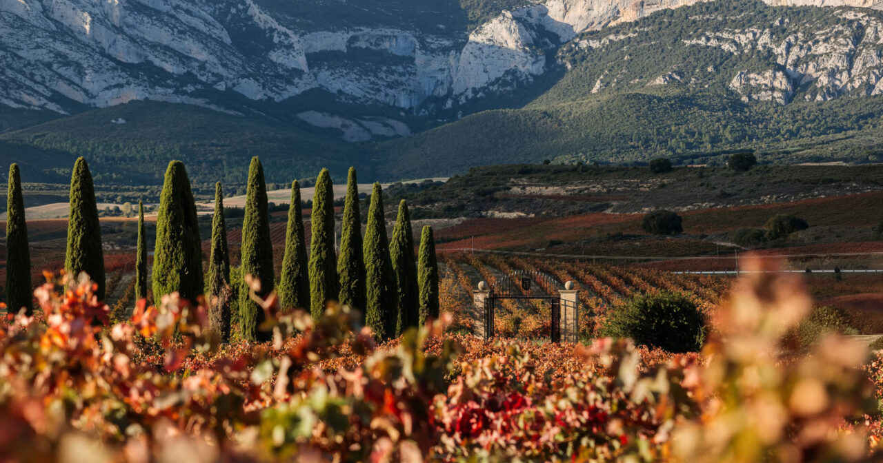 Torre de Oña Rioja Alavesa